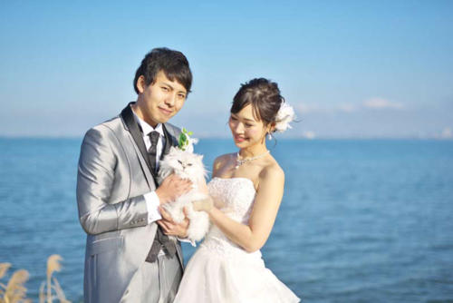 猫ちゃんと一緒に前撮りブルースター　.