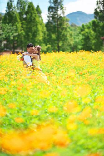 ブルーメの丘前撮り