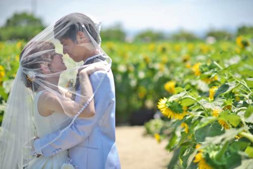 ひまわり畑にて結婚式前撮り滋賀｜滋賀前撮り人気店ブルースター