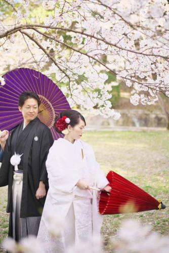 桜にて和装前撮り｜滋賀前撮り人気店ブルースター