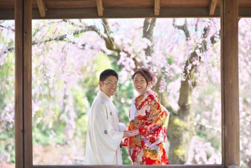 桜の時期に和装前撮り｜滋賀前撮り人気店ブルースター