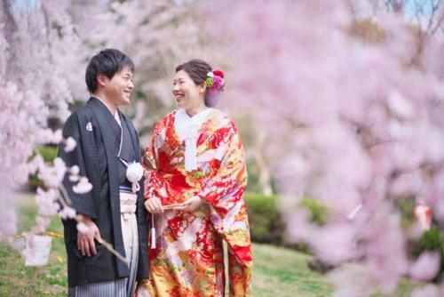 桜と和装前撮り｜滋賀前撮り人気店ブルースター