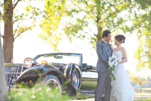 メタセコイア前撮り