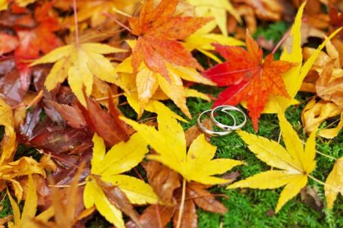 秋の紅葉和装前撮り