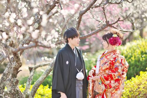 梅と一緒に和装前撮り