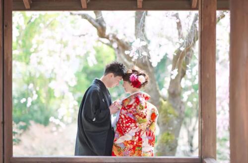 和装前撮り滋賀県