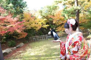 新郎殿を手のひらで遊ばせますわ｜滋賀前撮り人気店ブルースター