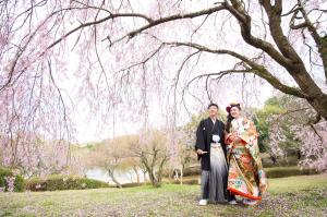 桜前撮りロケーション滋賀京都｜滋賀前撮り人気店ブルースター