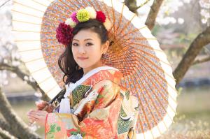 桜と共に和装前撮り色打掛　　.